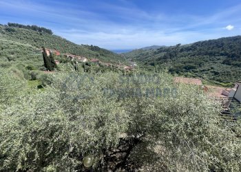 IMG_9891 - Villa Via Montin, Diano San Pietro - photo 23
