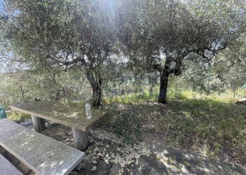 IMG_9900 - Villa Via Montin, Diano San Pietro - photo 26