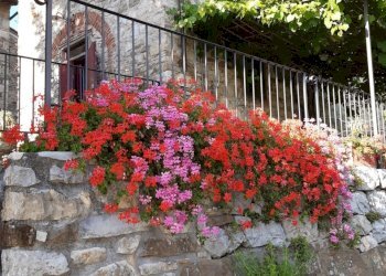giardino - Rustico Via di Sofignano, Vaiano - foto 5