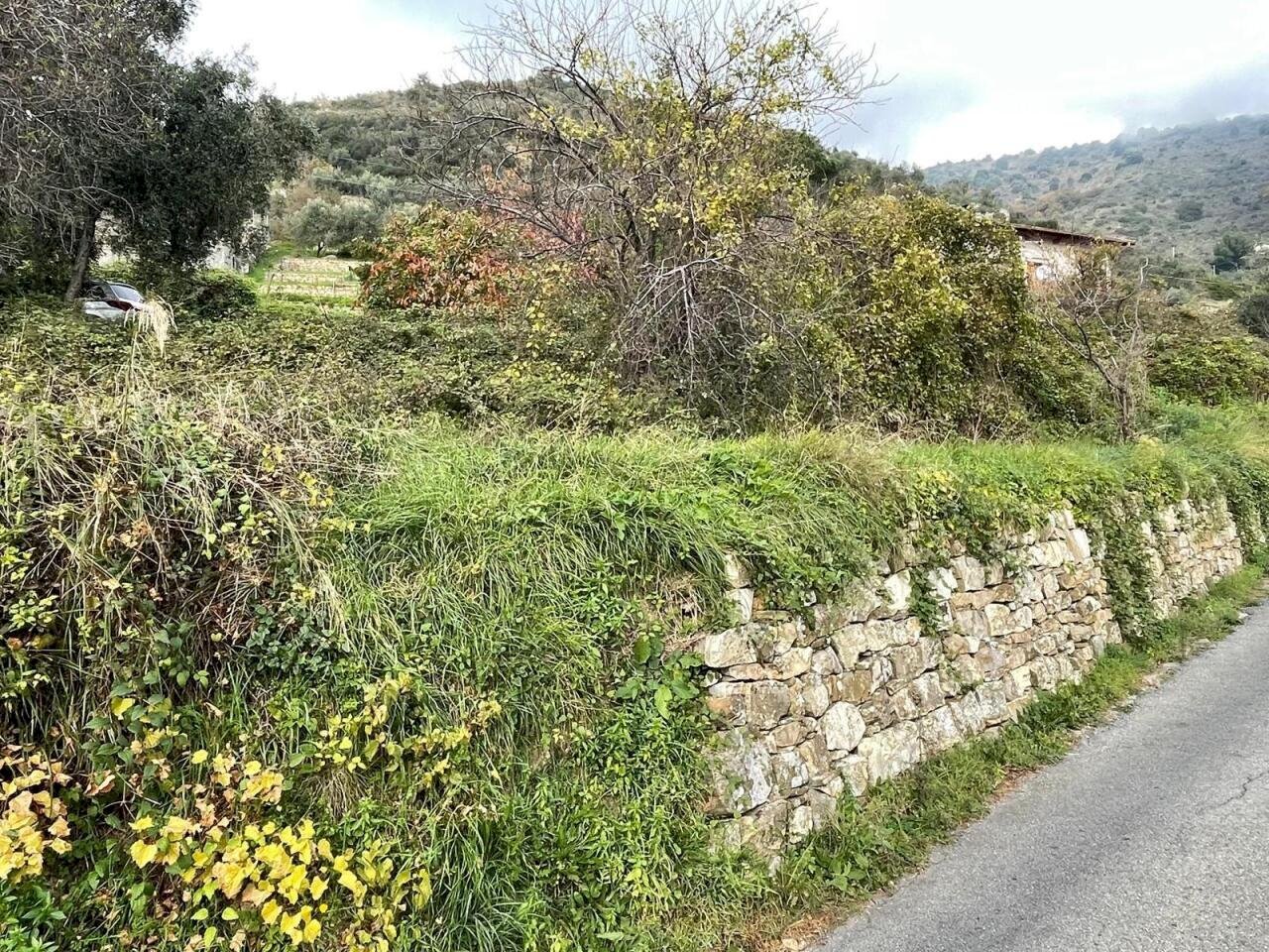 2 - Terreno agricolo Strada San Giovanni snc, Sanremo - foto 2