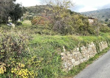 2 - Terreno agricolo Strada San Giovanni snc, Sanremo - foto 2