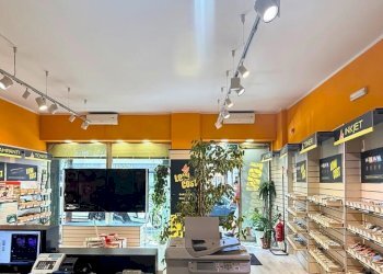 PHOTO-2026-05-19-17-13-29_1 - Stationery - Bookshop Pescara - photo 4