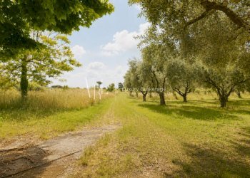 18 - Villa Frascati - foto 18