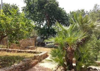 Villa Marsala - foto 2