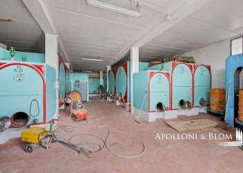 Rustic Via Folgore da S. Giminiano, 29, San Gimignano - photo 44