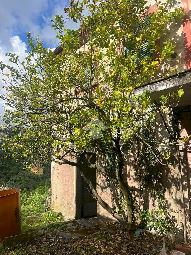 Rustico Salita san bernardo, Lavagna - foto 2