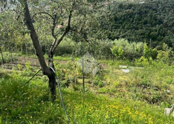 Rustico Salita san bernardo, Lavagna - foto 4