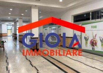 Attività Commerciale Mondragone - foto 8