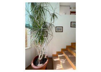 Semi-detached Villa Via Mendeleev, 14, Pesche - photo 36