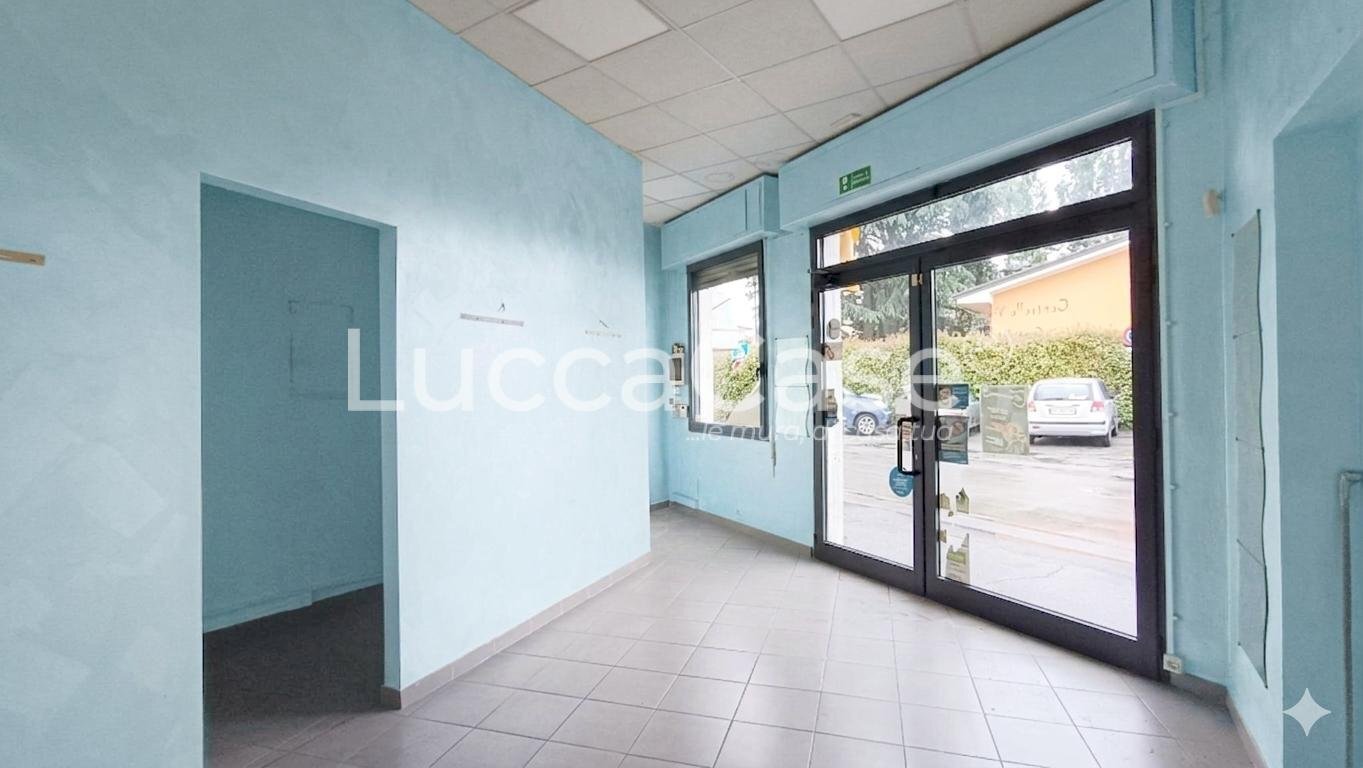 Commercial Premises Capannori - photo 1