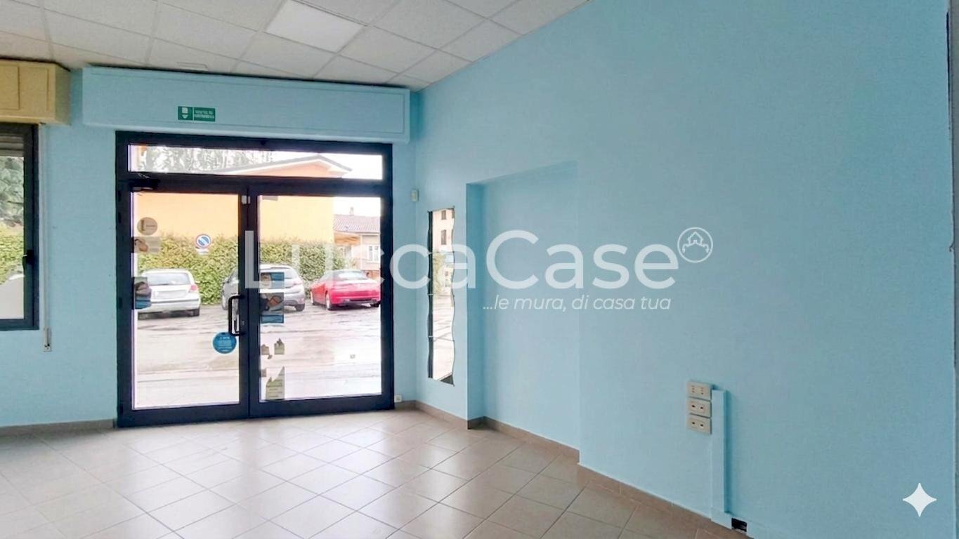 Commercial Premises Capannori - photo 2
