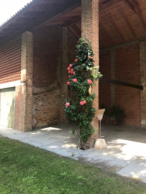 Tettoia - Casa semi indipendente Località Val Maggiora, 39, Asti - foto 3