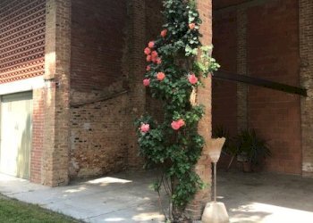 Tettoia - Casa semi indipendente Località Val Maggiora, 39, Asti - foto 4