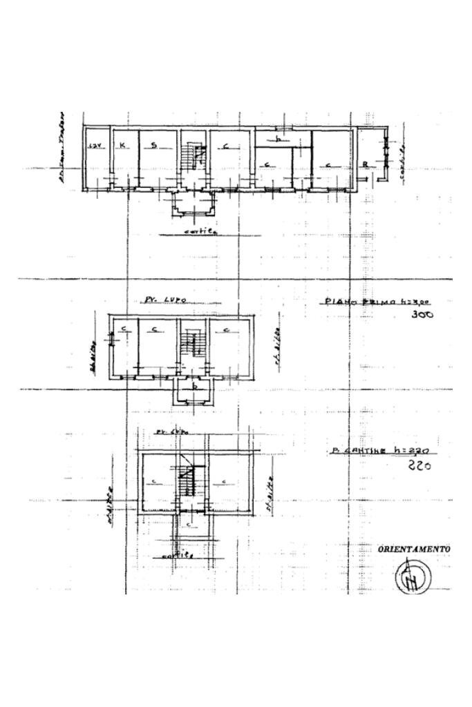 Casa indipendente Via duca degli abruzzi, Trofarello - planimetria 1