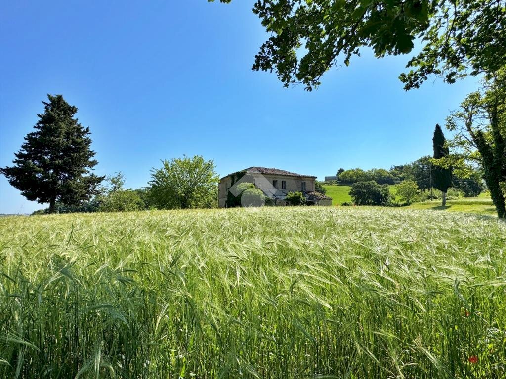 Rustico Via Pontevecchio, Vallefoglia - foto 2