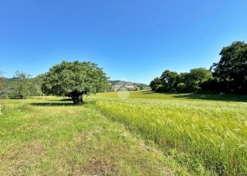 Rustico Via Pontevecchio, Vallefoglia - foto 4