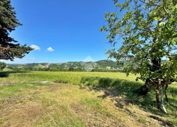 Rustico Via Pontevecchio, Vallefoglia - foto 8