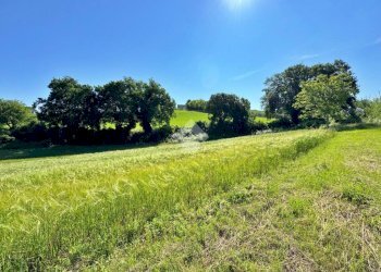 Rustico Via Pontevecchio, Vallefoglia - foto 10