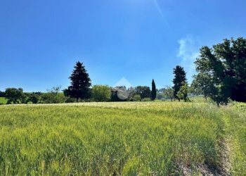 Rustico Via Pontevecchio, Vallefoglia - foto 17