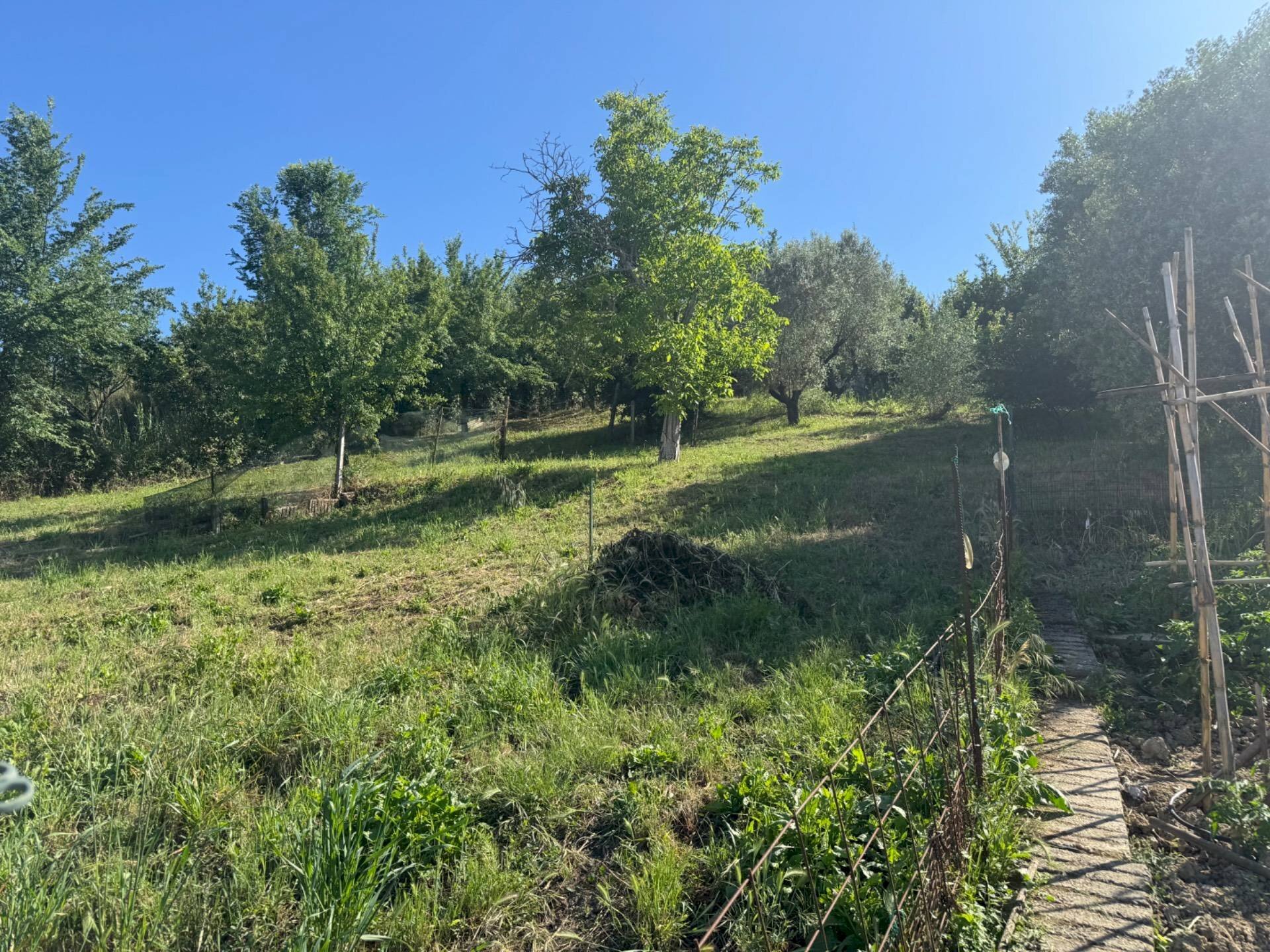 Foto 2 - Building land Largo Gran Sasso
29, Monterotondo - photo 2