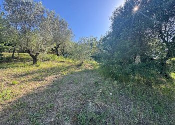 Foto 1 - Building land Largo Gran Sasso
29, Monterotondo - photo 1