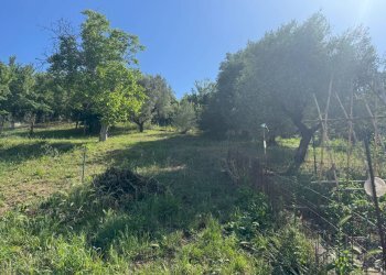 Foto 3 - Building land Largo Gran Sasso
29, Monterotondo - photo 3