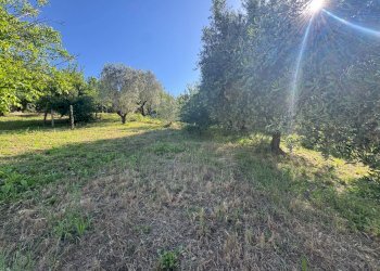 Foto 4 - Building land Largo Gran Sasso
29, Monterotondo - photo 4