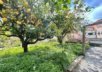 Foto 5 - Agricultural land Via Pian del Sasso, Tovo San Giacomo - photo 5