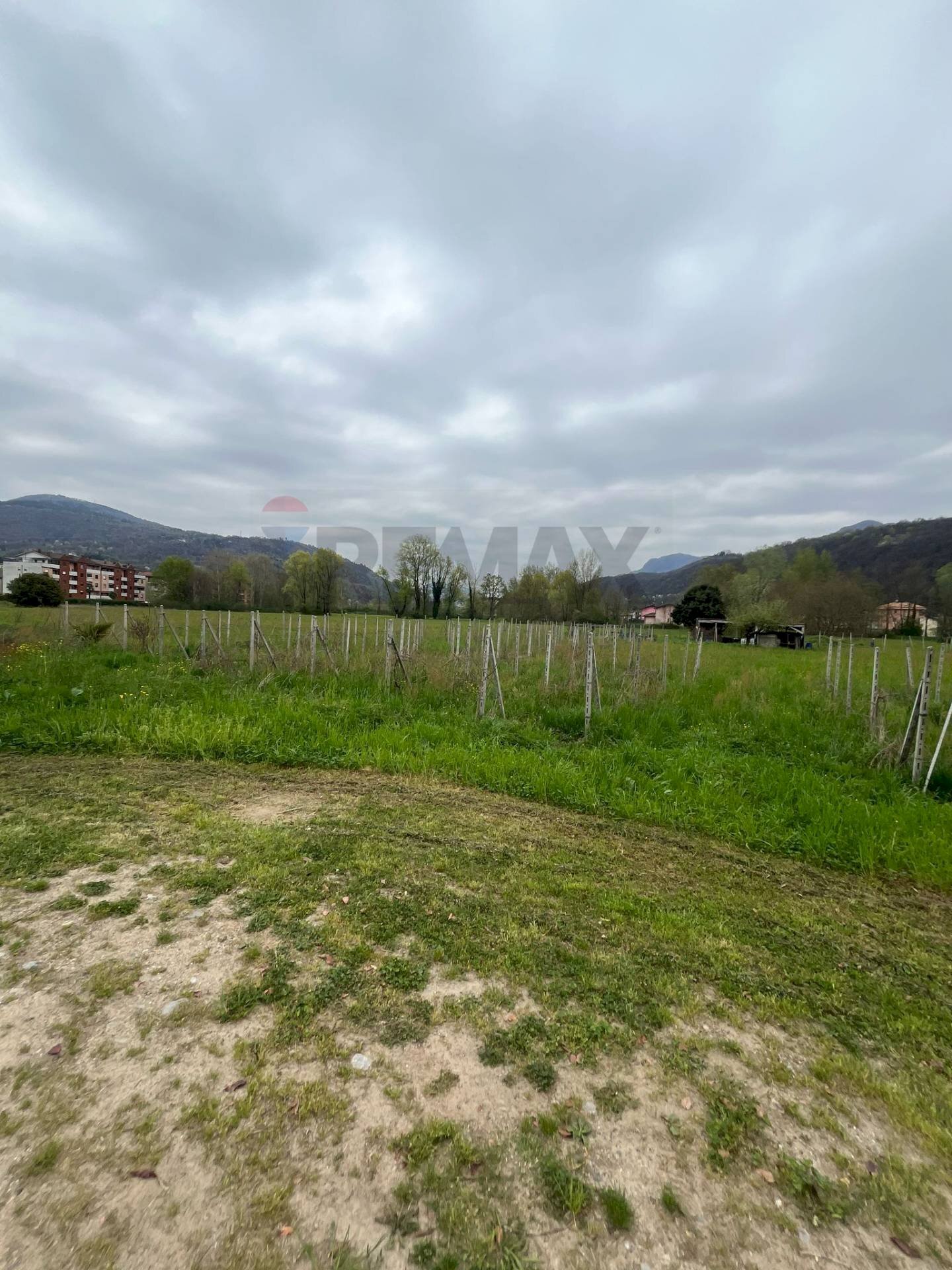 Giardino - Terreno agricolo Luino - foto 1