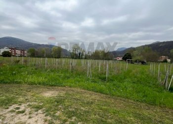 Giardino - Terreno agricolo Luino - foto 1