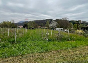 Vista delle montagne - Terreno agricolo Luino - foto 3