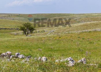 Vista delle montagne - Terreno agricolo contrada basalaci
 
SNC, Collesano - foto 5
