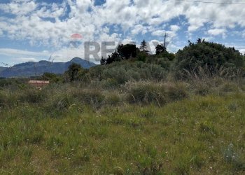 Vista delle montagne - Terreno agricolo contrada basalaci
 
SNC, Collesano - foto 9