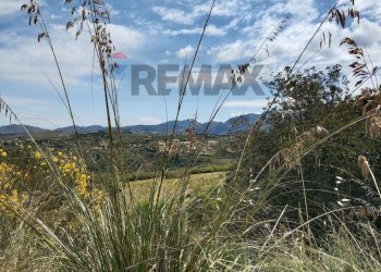 Vista delle montagne - Terreno agricolo contrada basalaci
 
SNC, Collesano - foto 18