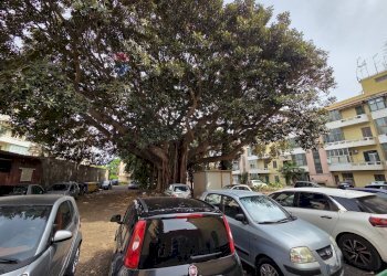 Edificio all\'aperto - Two-room apartment Via Stazzone
 
152, Catania - photo 21