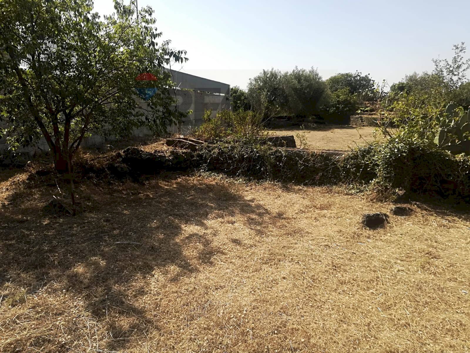 Giardino - Agricultural land Via Don Giovanni Minzoni
 
snc, Catania - photo 1