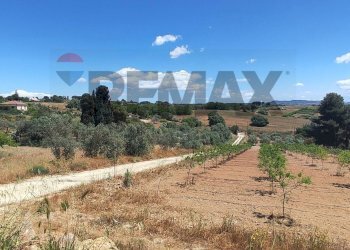 Vista delle montagne - Villa CONTRADA SAN CATALDO STRADA VICINALE 97
 
19/B, Caltagirone - foto 34