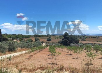 Vista delle montagne - Villa CONTRADA SAN CATALDO STRADA VICINALE 97
 
19/B, Caltagirone - foto 35