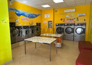 Cucina - Shop Viadana - photo 7