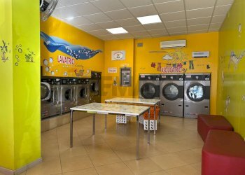 Cucina - Shop Viadana - photo 11