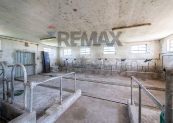 Non correlato - Independent house VIA GEMINIOLO
 
40, Boretto - photo 48