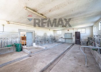 Terrazza - Independent house VIA GEMINIOLO
 
40, Boretto - photo 49