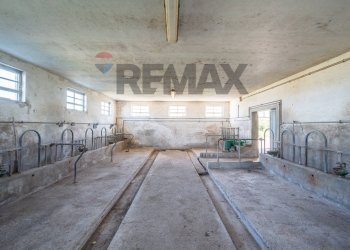 Parcheggio - Independent house VIA GEMINIOLO
 
40, Boretto - photo 51