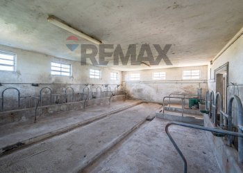 Non correlato - Independent house VIA GEMINIOLO
 
40, Boretto - photo 52