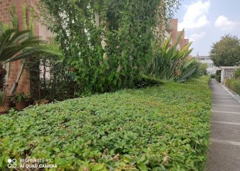 Giardino - Terraced Villa Via Cupa Dercole
 
8, Caserta - photo 62