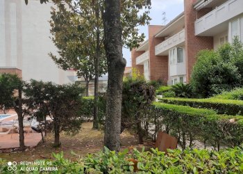 Giardino - Terraced Villa Via Cupa Dercole
 
8, Caserta - photo 70