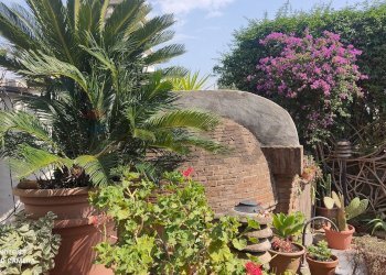 Giardino - Terraced Villa Via Cupa Dercole
 
8, Caserta - photo 85
