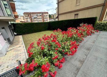 giardino - Appartamento VIA QUADRONE, Mondovì - foto 22