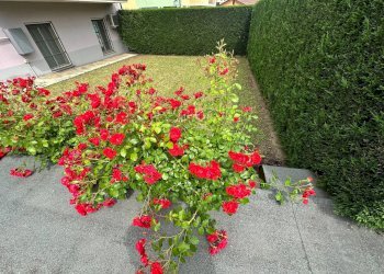 giardino - Appartamento VIA QUADRONE, Mondovì - foto 23