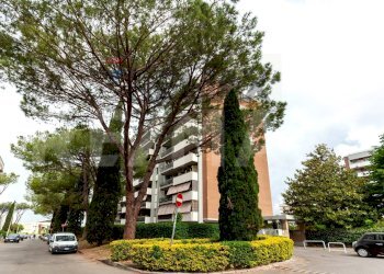 Edificio all\'aperto - Trilocale Roma - foto 10